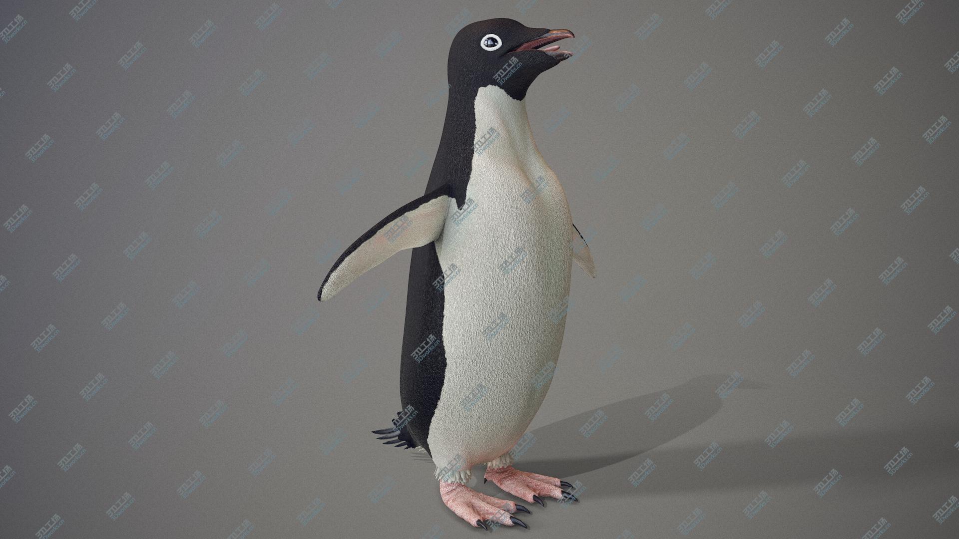 images/goods_img/2021040163/Adelie Penguin T-Pose 3D model/4.jpg